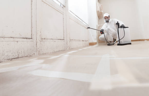 24/7 Emergency Basement Mold Remediation experts in Loganton, PA